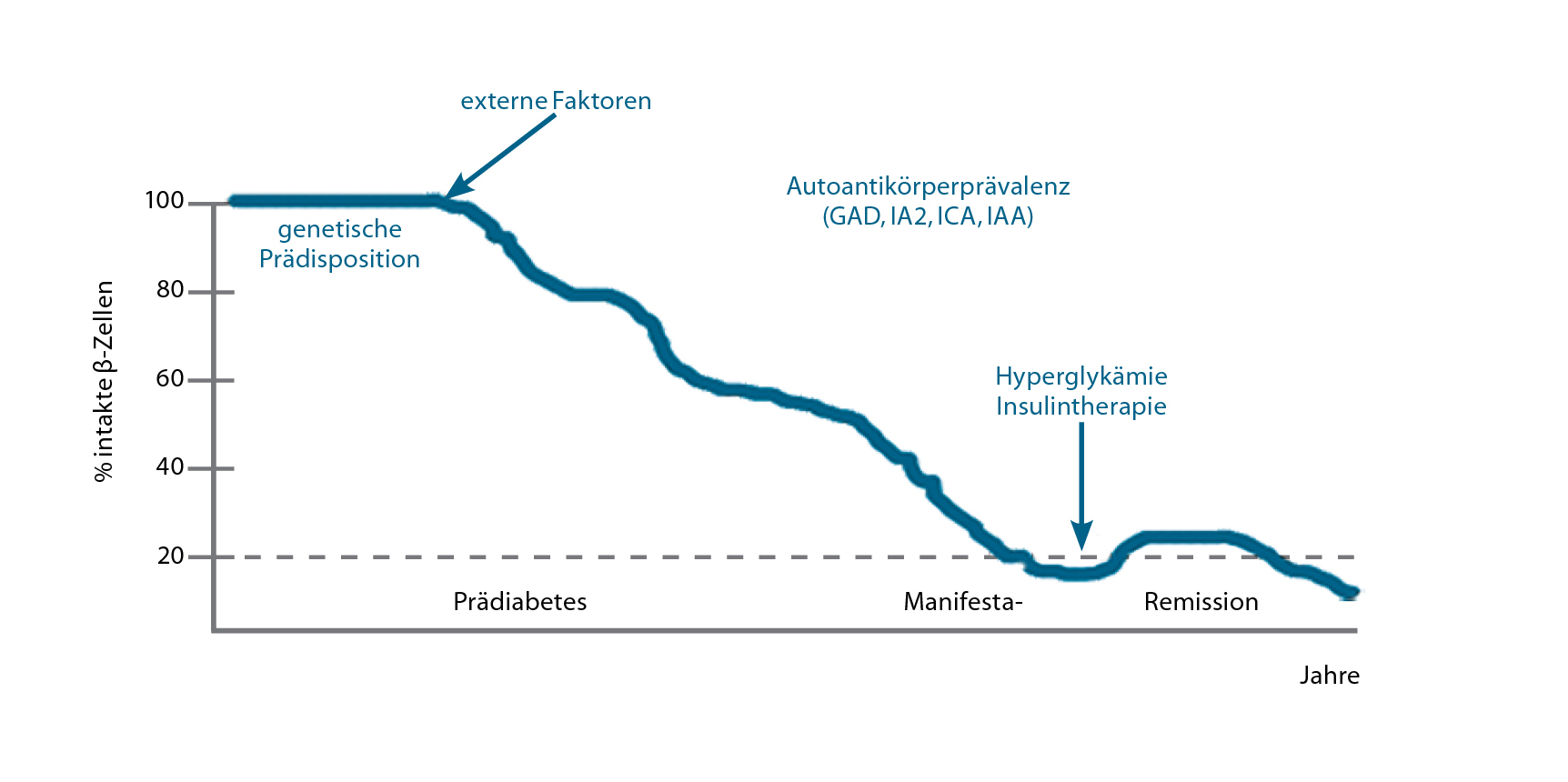 A Dapagliflozin-terápia PK és PD inzulinnal kombinálva T1DM-ben szenvedő japán alanyokban