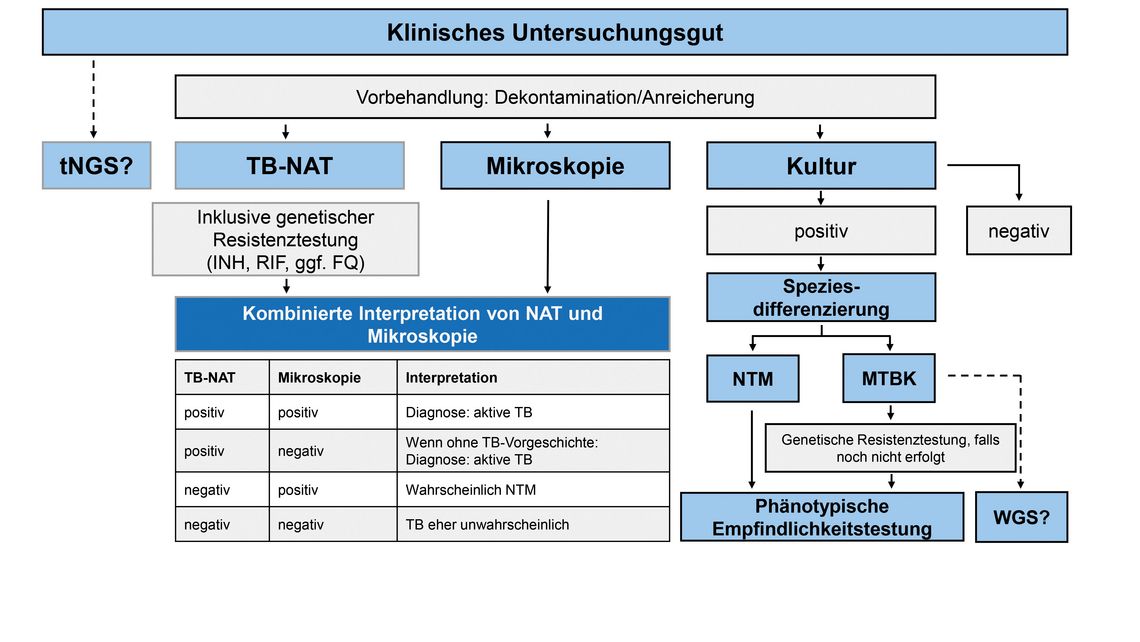 Flussdiagramm zur TB-Diagnostik: Kombination von NAT, Mikroskopie und Kultur mit Speziesdifferenzierung sowie Resistenz- und Empfindlichkeitstests.