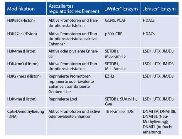 Gezielte Modifikation des Epigenoms mittels epigenetischer Editierung - Csm Tab1 Uebersicht EpigenetischerMoDifikationen UnDEnzyme 7a1c09f78c