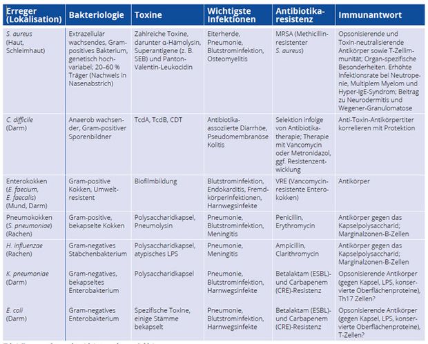 Impfung Gegen Endogene Infektionen Mit Antibiotika Resistenten Bakterien Trillium Gmbh Medizinischer Fachverlag
