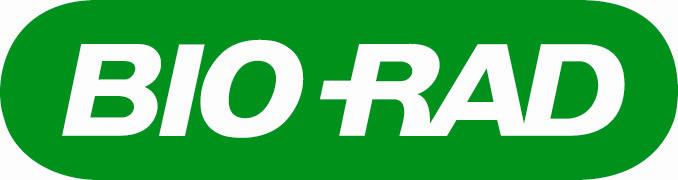 Silver Sponsor